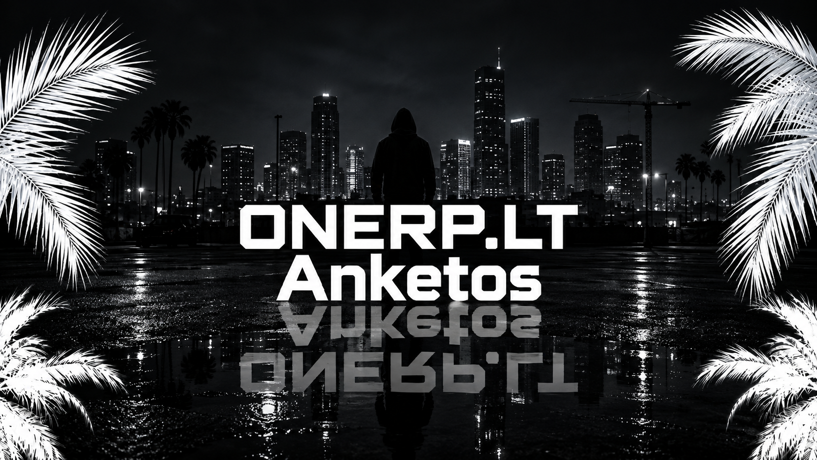ONERP.LT Anketos